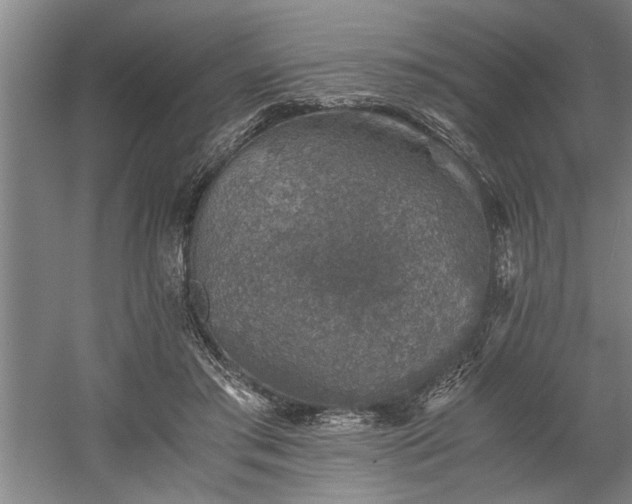 X0000058780405200509301120