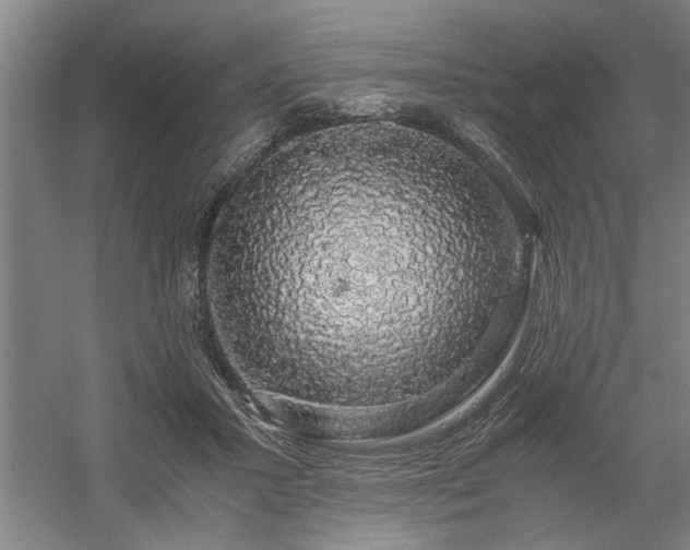 X0000058780407200509301120