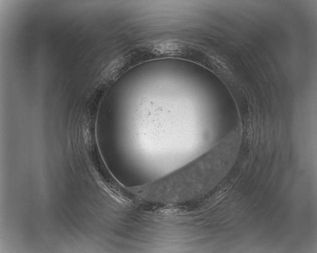 X0000058780408200509301120