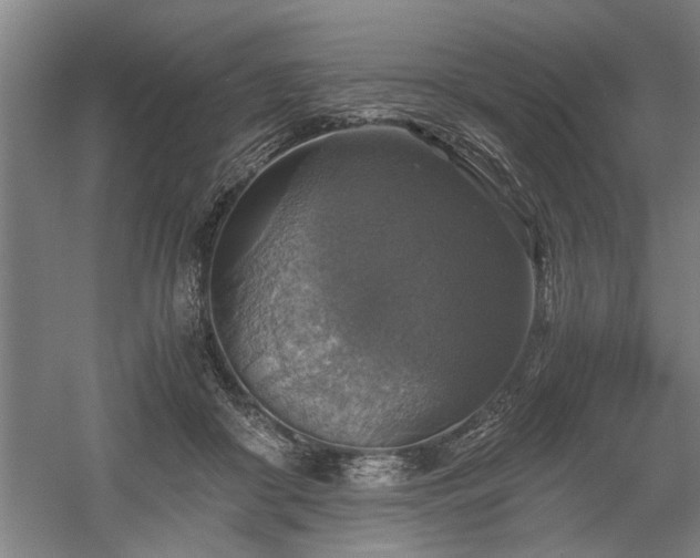 X0000058780410200509301120