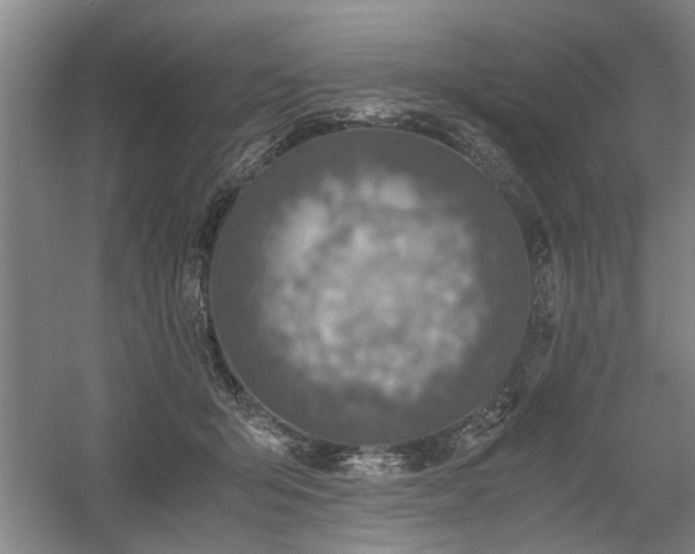 X0000058780415200509301120