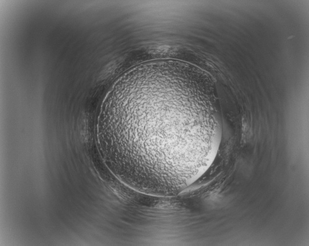 X0000058780416200509301120