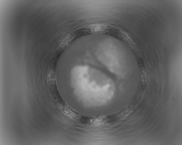 X0000058780419200509301120