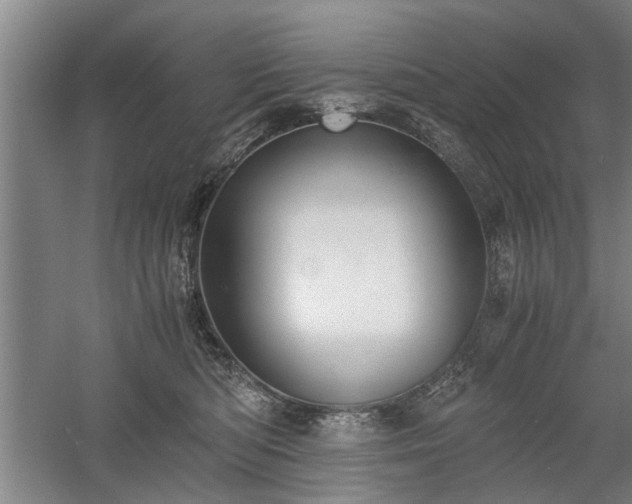 X0000058780422200509301120