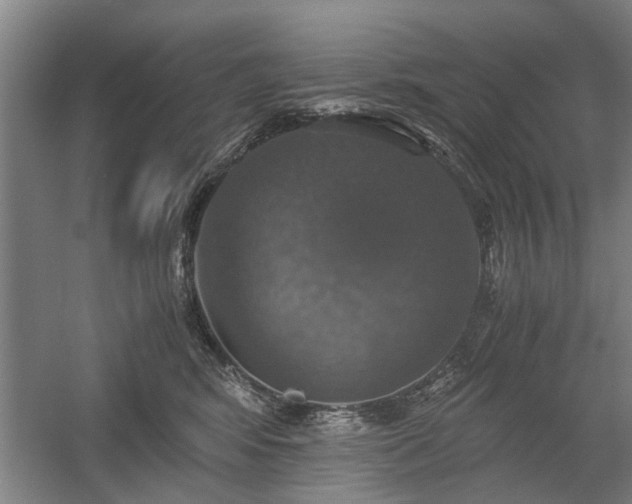 X0000058780424200509301120