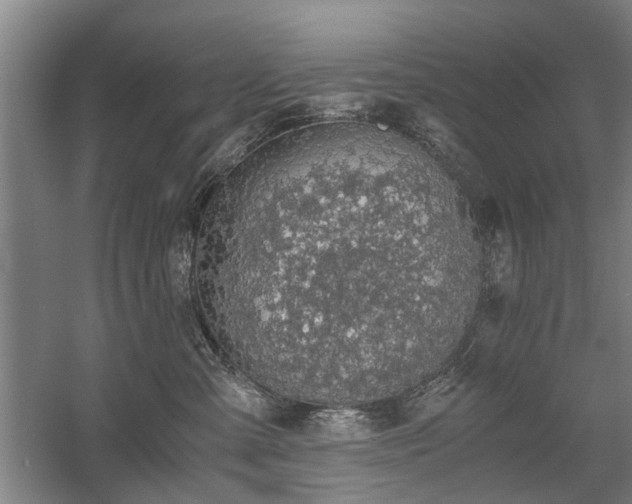 X0000058780427200509301120