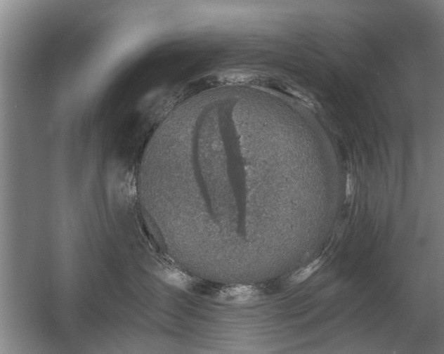 X0000058780431200509301119