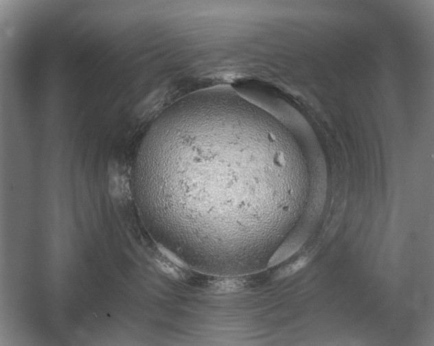 X0000058780432200509301119