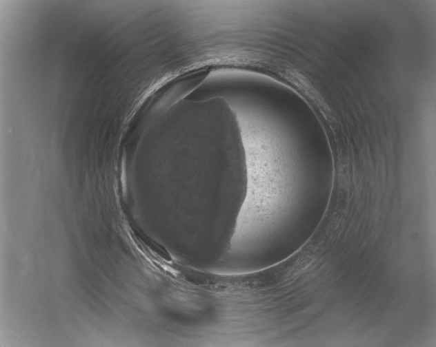 X0000058780434200509301119