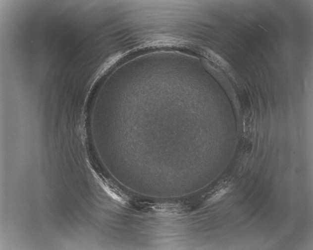 X0000058780436200509301119