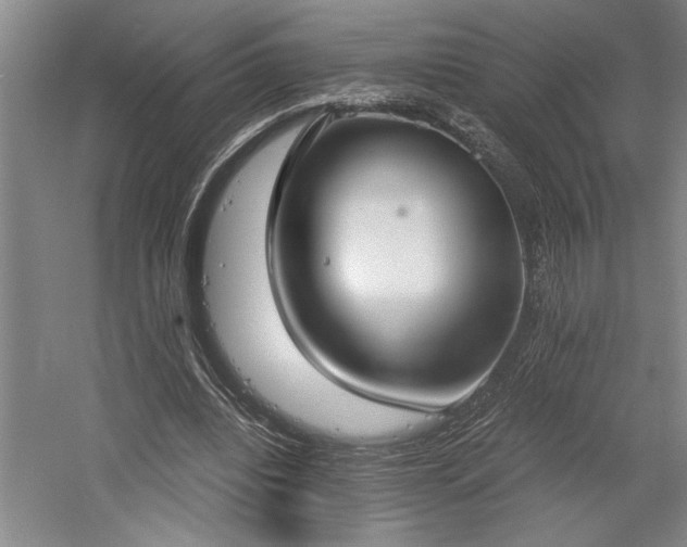 X0000058780440200509301119