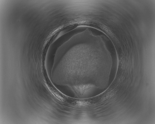 X0000058780442200509301119