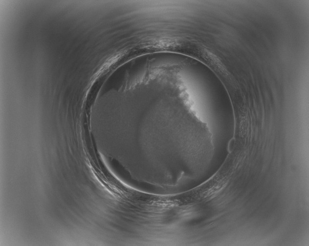 X0000058780443200509301119