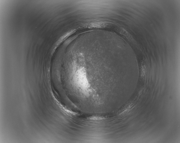 X0000058780444200509301119