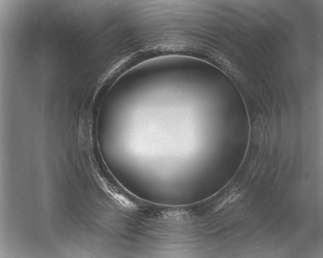 X0000058780446200509301119