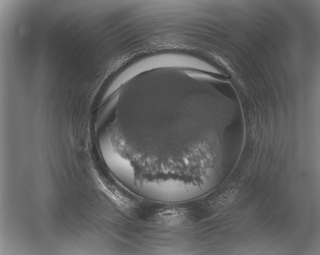 X0000058780447200509301119