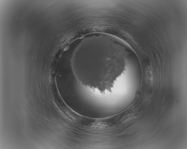 X0000058780451200509301119