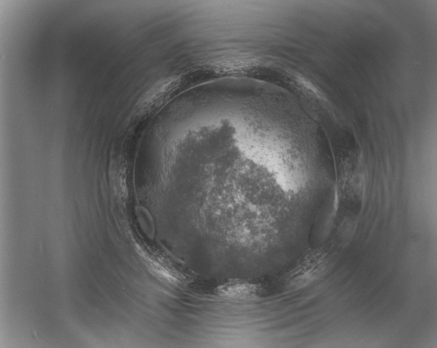 X0000058780452200509301119