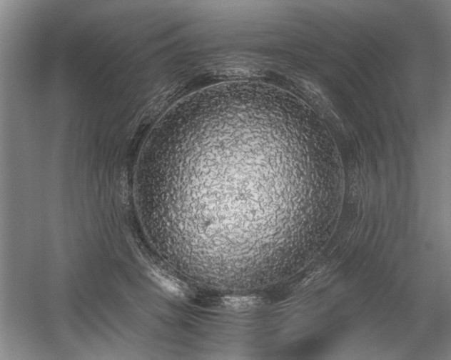 X0000058780457200509301119