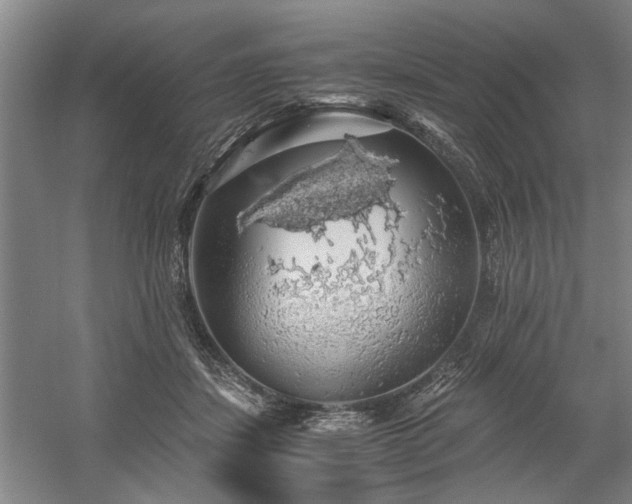 X0000058780459200509301119