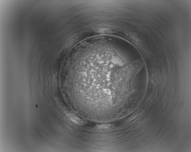 X0000058780461200509301119