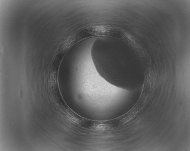 X0000058780467200509301119