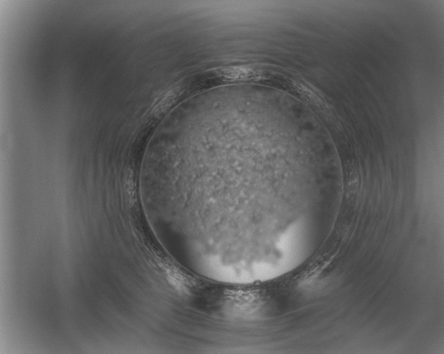 X0000058780469200509301119