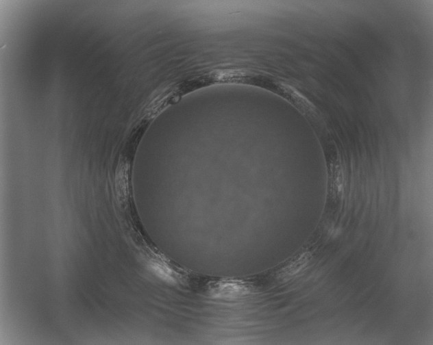 X0000058780475200509301119