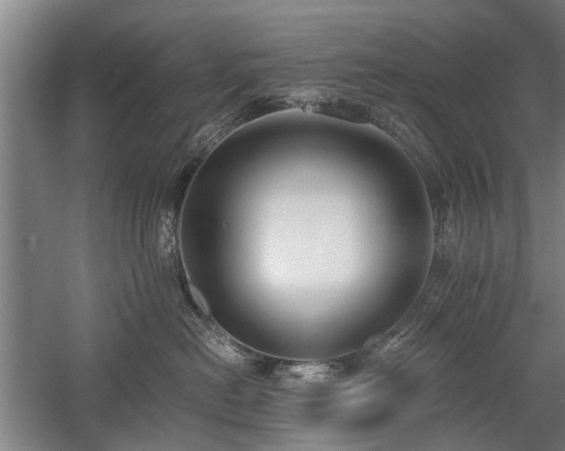 X0000058780478200509301119