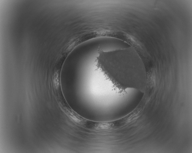 X0000058780479200509301119