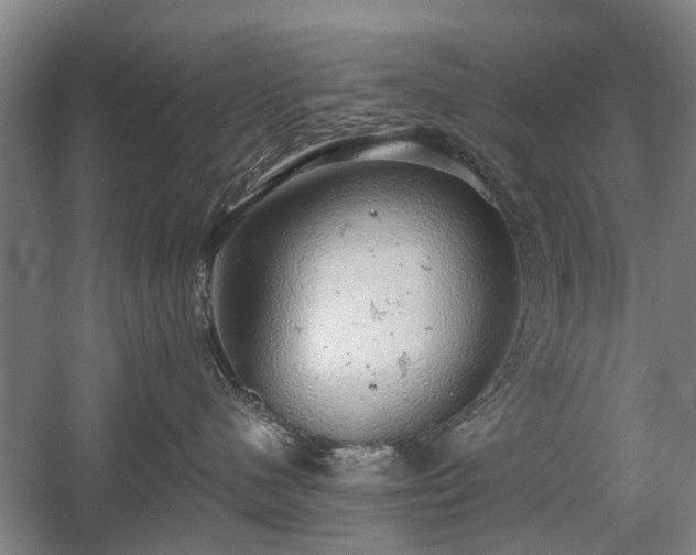 X0000058780480200509301119