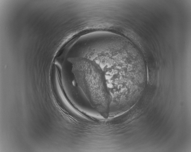 X0000058780483200509301119