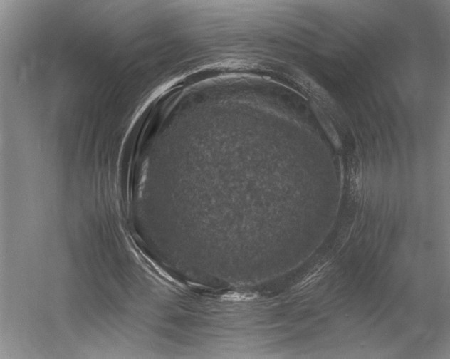 X0000058780484200509301119