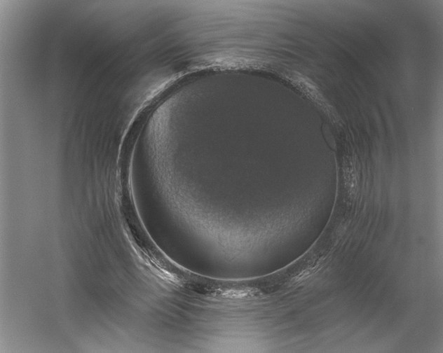 X0000058780488200509301119