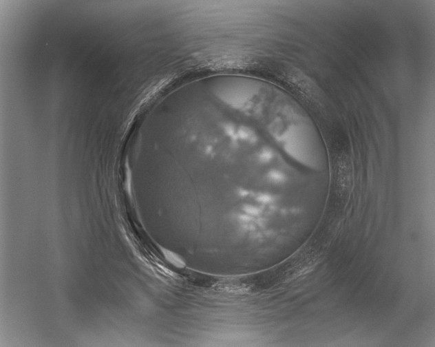 X0000058780491200509301118