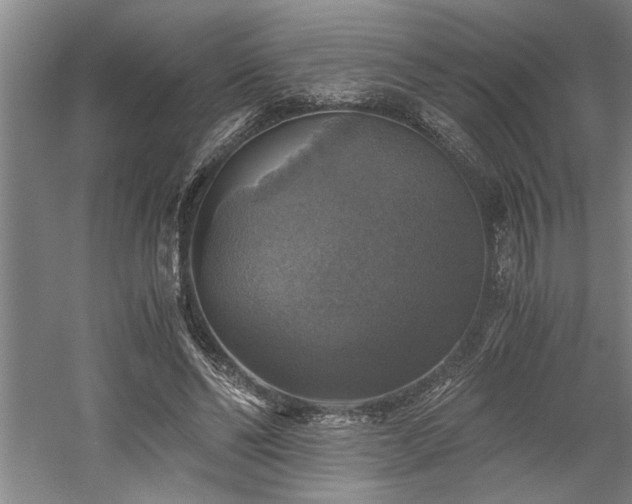 X0000058780494200509301118