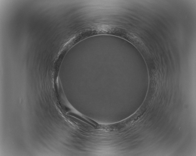 X0000058780496200509301118