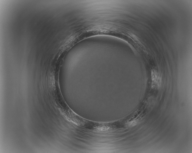 X0000058780500200509301118