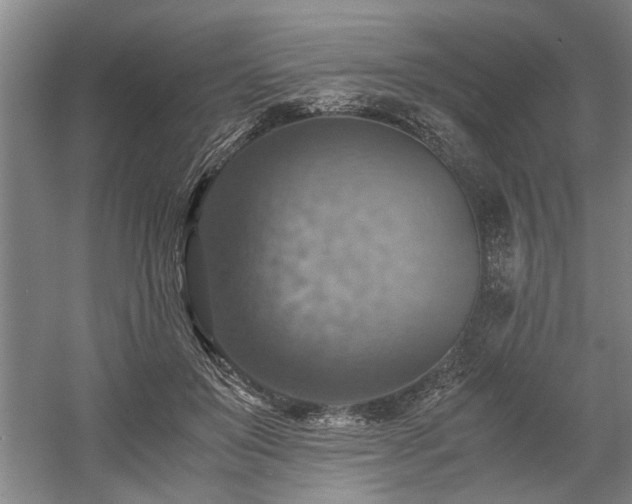 X0000058780503200509301118