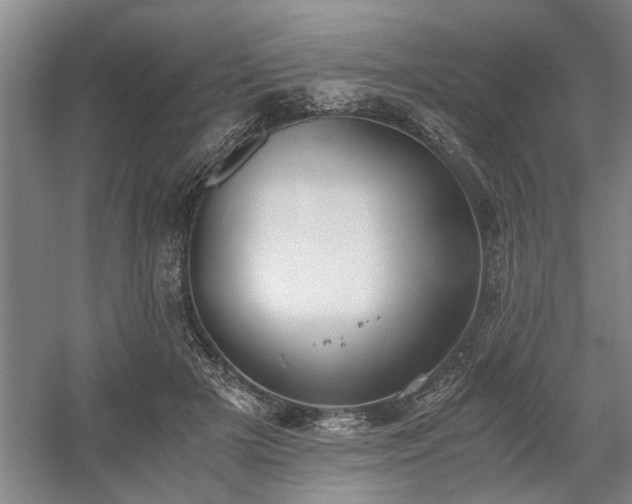 X0000058780505200509301118