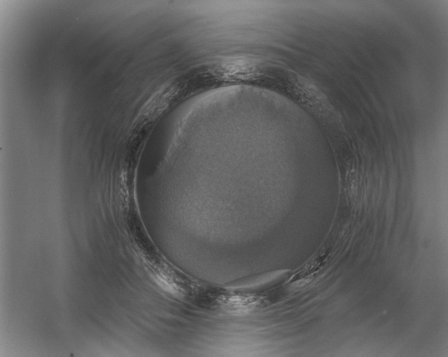 X0000058780506200509301118