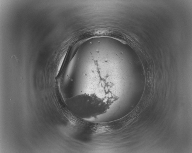 X0000058780507200509301118