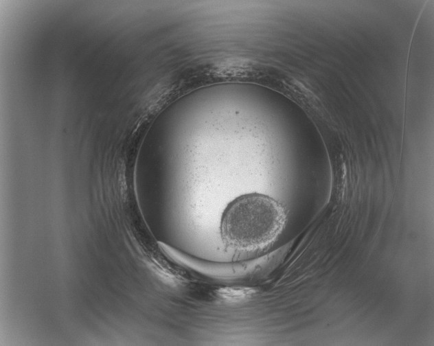 X0000058780508200509301118