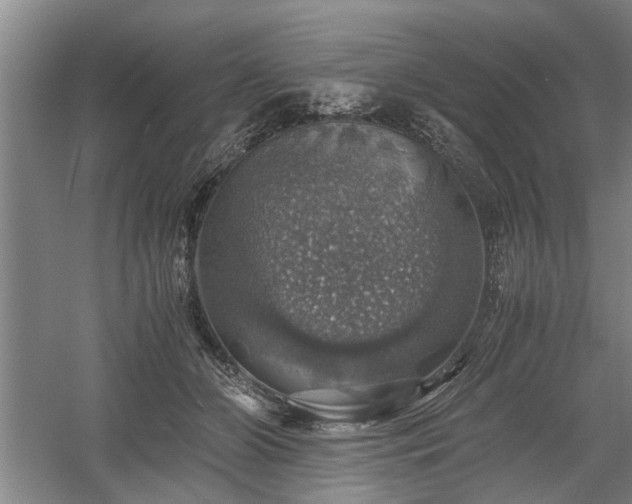 X0000058780510200509301118