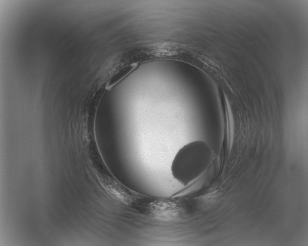 X0000058780512200509301118