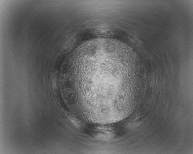 X0000058780515200509301118