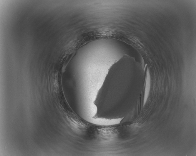 X0000058780516200509301118