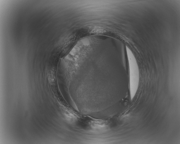 X0000058780517200509301118