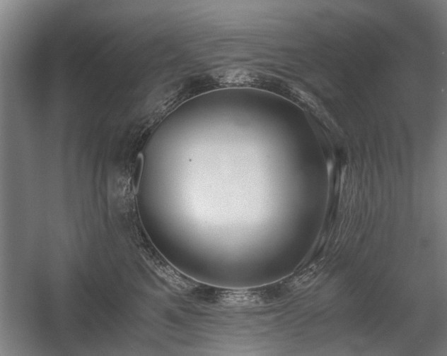 X0000058780521200509301118