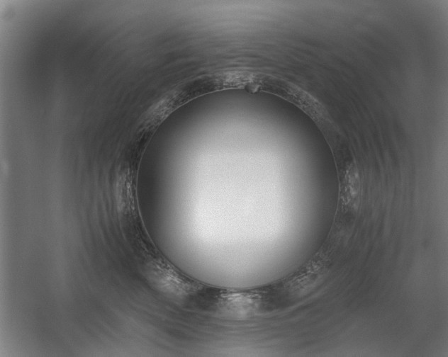 X0000058780522200509301118